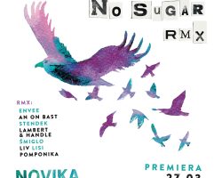 Unsafe (DJ Lisi Remix) na remix-albumie Noviki