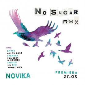 Novika – Unsafe (DJ LISI aka Prince of Toilet Rework)